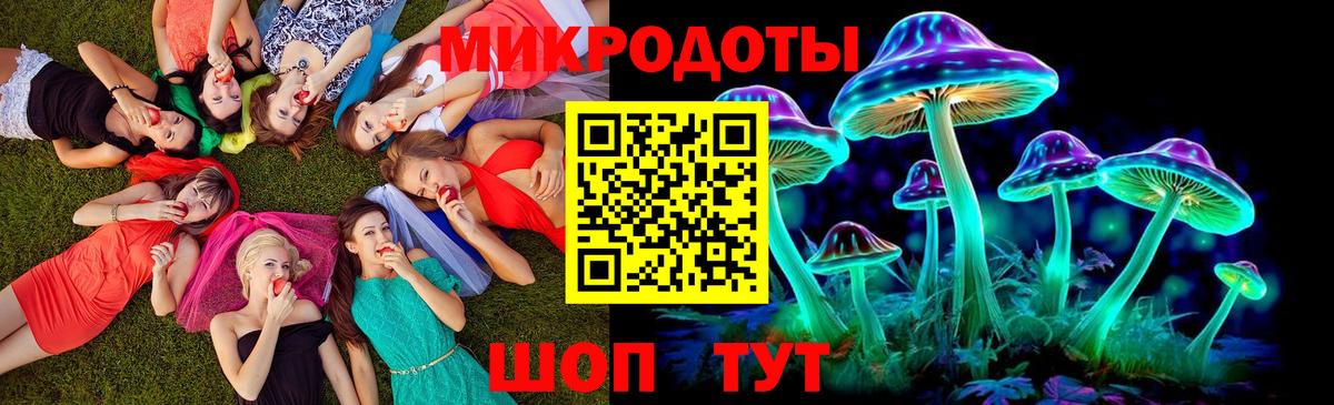 Электрогорск  Галлюциногенные грибы Magic Shrooms  купить закладку  Вход с VPN 
