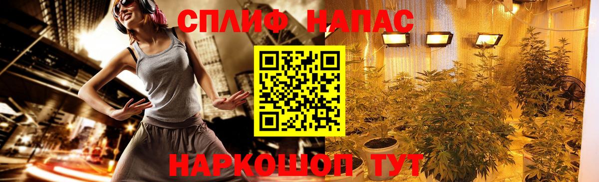 Бошки Шишки OG Kush  Канабис планчик  Марихуана план  Вход с VPN  Марихуана SATIVA & INDICA  Электрогорск 